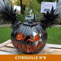 Citrouille n°8 Citrouille n°8