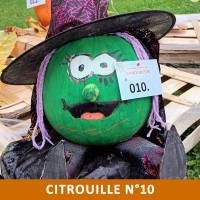 Citrouille n°10 Citrouille n°10