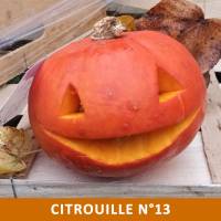 Citrouille n°13 Citrouille n°13