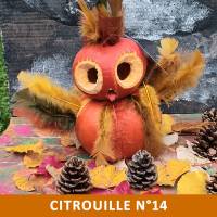 Citrouille n°14 Citrouille n°14