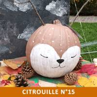 Citrouille n°15 Citrouille n°15