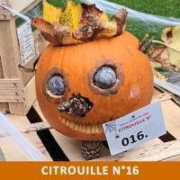 Citrouille n°16 Citrouille n°16