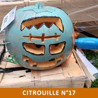 Citrouille n°17 Citrouille n°17