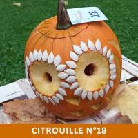Citrouille n°18 Citrouille n°18