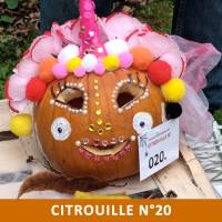 Citrouille n°20 Citrouille n°20