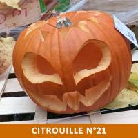 Citrouille n°21 Citrouille n°21