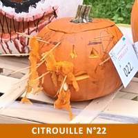 Citrouille n°22 Citrouille n°22