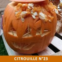 Citrouille n°23 Citrouille n°23