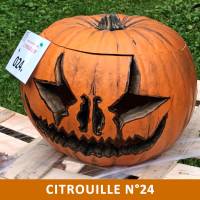 Citrouille n°24 Citrouille n°24