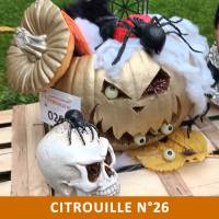 Citrouille n°26 Citrouille n°26