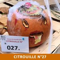 Citrouille n°27 Citrouille n°27