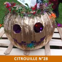 Citrouille n°28 Citrouille n°28
