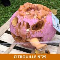 Citrouille n°29 Citrouille n°29