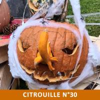 Citrouille n°30 Citrouille n°30