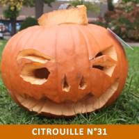 Citrouille n°31 Citrouille n°31