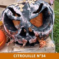 Citrouille n°34 Citrouille n°34