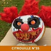 Citrouille n°35 Citrouille n°35