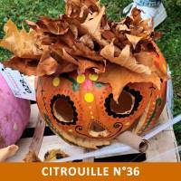Citrouille n°36 Citrouille n°36