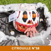 Citrouille n°38 Citrouille n°38