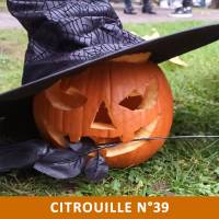 Citrouille n°39 Citrouille n°39