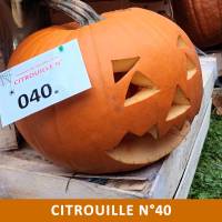 Citrouille n°40 Citrouille n°40