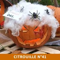Citrouille n°41 Citrouille n°41