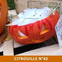 Citrouille n°42 Citrouille n°42