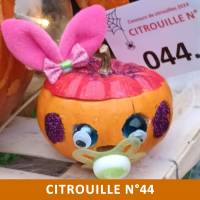 Citrouille n°44 Citrouille n°44