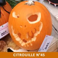 Citrouille n°45 Citrouille n°45