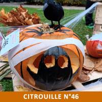 Citrouille n°46 Citrouille n°46