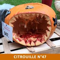 Citrouille n°47 Citrouille n°47