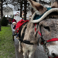 Festivités de Noël Festivités de Noël