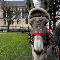 Festivités de Noël Festivités de Noël