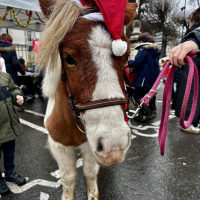 Festivités de Noël Festivités de Noël