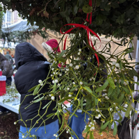 Festivités de Noël Festivités de Noël