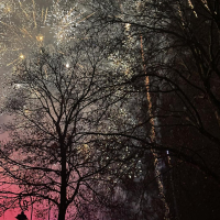 Festivités de Noël Festivités de Noël