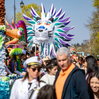 Carnaval 2026 Carnaval 2026