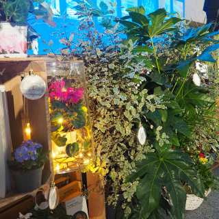 Voeux 2025 Voeux 2025